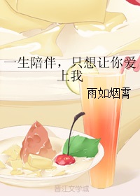 婚姻合伙人